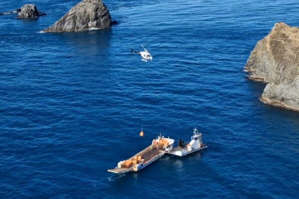 4_north_brother_island_update_scope_group_asbestos_removal_demolition_services_nationwide_blog_1