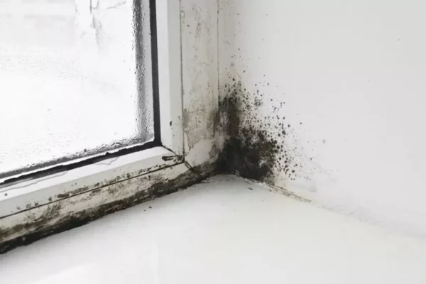 Mould 4